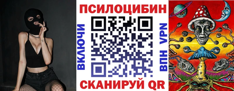 ссылка на мегу зеркало  Пустошка  Псилоцибиновые грибы прущие грибы  магазин  наркотиков 