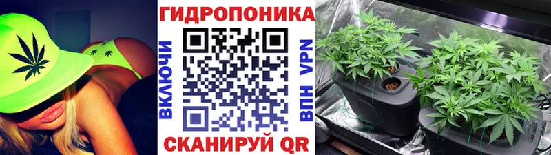 Бошки Шишки OG Kush  Пустошка 